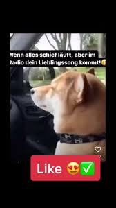 156 665 tykkäystä · 13 498 puhuu tästä. Lieblingssong Hashtag Videos On Tiktok