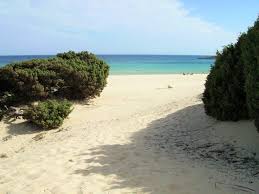 Mit pool, wlan und tv. Sardiniens Untouristischer Sudwesten Strande An Der Baia Chia Sardinien