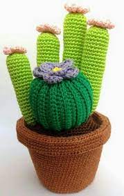Amigurumi Ve Iki Renkli Buyuk Kaktus Modeli Tig Isi Cicekler Kaktus Amigurumi