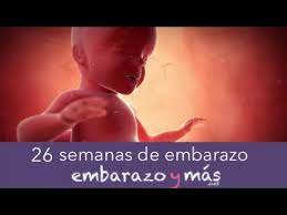 26 Semanas De Embarazo Sexto Mes Embarazoymas Youtube