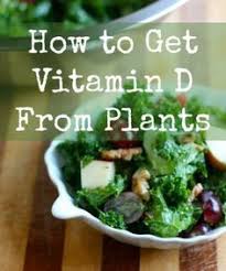 How can it benefit you? Pin On Vegan