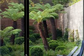 Tom Stuart Smith Tropical Garden Design Contemporary Garden Tree Fern