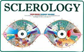 Exact Sclerology Chart Emotional Iridology Chart Iridology