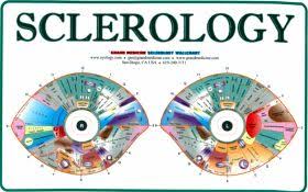 exact sclerology chart emotional iridology chart iridology