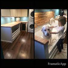 How To Make An Interesting Art Piece Using Tree Branches Ehow Dog Washing Station Dog Rooms Home