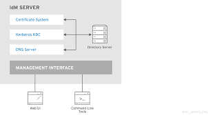 Configurar Y Gestionar La Gestion De Identidades Red Hat Enterprise Linux 8 Red Hat Customer Portal
