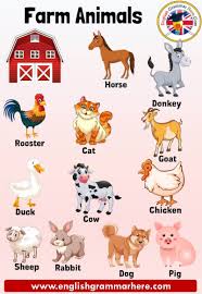 Farm Animals Names Definition And Examples Farm Animals Farm Animals Are Animals That Feed In An Envir In 2020 Animals Name List Farm Animals Preschool Activity Books