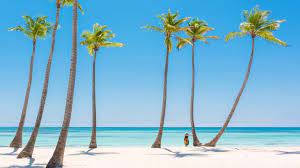 Fly from chicago o'hare airport on frontier, copa airlines, spirit airlines and more. Flights To Punta Cana Dominican Republic Puj Delta Air Lines
