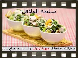 ط ظ ط ط C ط ظ ظپظ ط ظپظ ط ط ظ ط ط ظˆط طھ ط ظ ظ طµظˆط ط C Falafel Salad Recipes Falafel