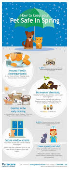 It S Spring And Whether You Re Doing Some Spring Cleaning Taking Advantage Of The Warm Weather And Getting Outdoors Or Pet Health Pet Safe Pet Health Insurance