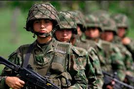 Esta categoría incluye todos los elementos básicos y mucho más: Las Mujeres Se Toman Las Armas En El Ejercito El Espectador