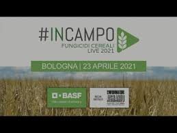 Termine di scadenza per la presentazione online delle domande di partecipazione sul portale esse3: Incampo Fungicidi Cereali Live 2021 Bologna Youtube