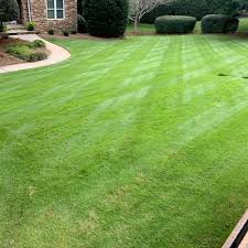 Read real reviews and see ratings for greenville, sc landscaping companies for free! The 10 Best Landscaping Companies In Greenville Sc 2021