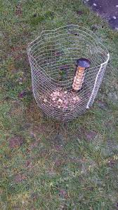 Caged Bird Feeders For Small Birds Uk Wild Bird Ground Feeder Cage Also Made One For The Ground The Smaller Birds Happily Flutter In To Eat But The Larger O Bird Feeding Station Bird Wild Birds