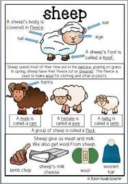 This Sheep Themed Pack Is Great To Go With A Farm Theme Scheme Of Work It Is A Collection Of Worksheets And Act Farm Theme Preschool Farm Preschool Farm Theme