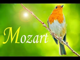 Mozart En Otono Relajate Disfruta Vive Youtube Sentimientos Musica Para Relajarse Naturaleza