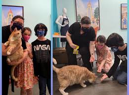 Friends of the Alameda Animal Shelter (FAAS)