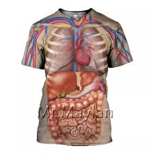 The job of the circulatory system is to move blood, nutrients the lymphatic system includes lymph nodes, lymph ducts and lymph vessels, and also plays a role in the body's defenses. 3d Print Cosplay Male Skeleton Internal Organs Tshirt Harajuku Human Body T Shirt Men Women Fashion T Shirt Summer Short Sleeve T Shirts Aliexpress