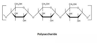 Polymer Of A Carbohydrate Macromolecules Flashcards Math