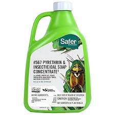 Diy organic insecticidal soap recipe works on contact which means it must coat the insect to kill it. Safer Brand Insecticidal Soap Pyrethrin Concentrate Insect Killer Organic 32 Oz 567gal 32 At Tractor Supply Co