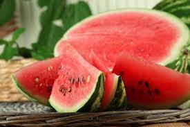 Мы впервые вырастили новый сорт арбуза style по рекомендации российских покупателей. Segodnya Den Arbuza Saratov 24