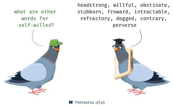 More 540 Self-willed Synonyms. Similar words for Self-willed.