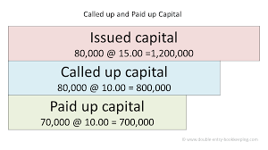 This payment is called a dividend. Capital Stock Accounting Double Entry Bookkeeping