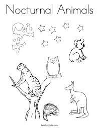 These type animals have obvious physical adaptations caused by the night time environment they live in. Nocturnal Animals Coloring Page Puppy Coloring Pages Coloring Pages Minion Coloring Pages