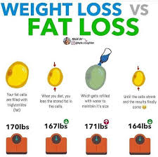 Pin On Ketogenic Diet