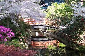 Descanso Gardens Japanese Garden Hidden Garden Botanical Gardens