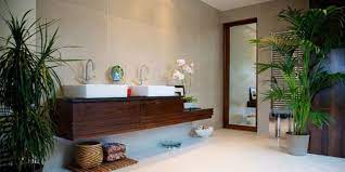Porque no, pon una pequeña decoración con plantas en tu ambiente para darle un toque natural y fresco. Por Que Agregar Plantas A La Decoracion De Tu Bano