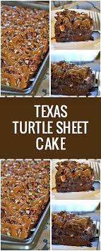 Texas Turtle Sheet Cake Cake Recipes Savoury Cake Sheet Cake Turtle Cheesecake Recipes
