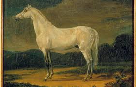 He was sent to two royal napoleon was the leader of the french for 15 years, first as consul and later as emperor. Le Cheval De Napoleon Restaure