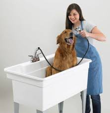 Dhgate.com provide a large selection of promotional hand wash sinks on sale at cheap price and excellent crafts. Pin On Laundry Room
