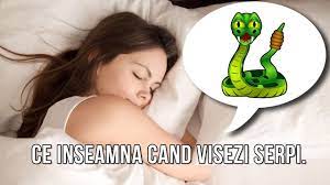 A visa mai multi serpi semnifica o viata sexuala dezordonata. Ce Inseamna Cand Visezi Serpi Youtube