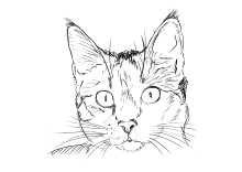 Katzen bilder zum ausdrucken kostenlos neu katze und hund. Malvorlagen Katzen