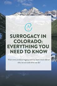 Check spelling or type a new query. 64 Become A Surrogate Ideas Surrogate Surrogacy Surrogate Mother