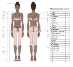 The female muscular system chart displays two beautifully illustrated and very detailed. Woman Body Measurement Chart Scheme For Measurement Human Body For Sewing Clothes Female Figure Front And Back Views Young African American Woman Vector Wall Mural Alina