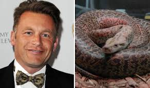 BBC presenter joins RSPCA campaign to curb numbers of abandoned reptiles