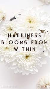 Flowers and fruits are always fit presents; Happiness Blooms From Within Daisy Flowers Quote Inspirational Background Wallpaper You Can Download For Flower Quotes Bloom Quotes Best Motivational Quotes