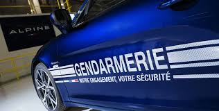 Image result for Blue Gendarmerie 1977 Renault