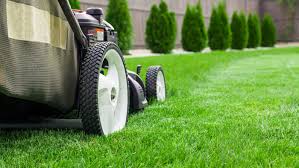 Professional lawn care prices will vary based on the regional cost to do business and regional cost of labor, the size of your lawn, and any additional services you may desire such as edging or mulching. Lawn Mowing Everything You Need To Know Lawnstarter