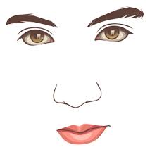 Silahkan kamu suntikan warna ke pallet kulit diatas ke bagian warna yang terdapat huruf b yang artinya base atau dasar. Cara Membuat Vector Hidung Mulut Tutorial Vector Wajah 2 Rizqi Alam