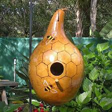 Birdhouse Gourds For Sale Australian Seed Gourd Birdhouse Gourds Birdhouse Painted Gourds Hand Painted Gourds