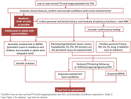 The Diagnosis And Management Of Central Hypothyroidism In