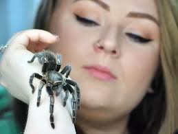 The woman who shares her house with hundreds of massive spiders and creepy  crawlies