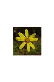 Helen M. Beadle Obituary in Rockland at Magoun-Biggins