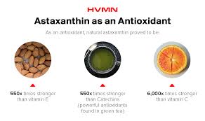 Image result for Astaxanthin
