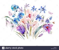 Regalare un bouquet conoscendone il significato. Molla Ad Acquerello Con Bouquet Di Fiori Di Campo Blu E Bucaneve Foto Stock Alamy