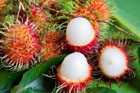 Le Ramboutan Que Manger Au Delta Du Mekong Fruits Fruit Goyave